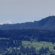 Au fond : le Mont Blanc