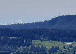 Au fond : le Mont Blanc